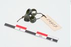 Foto von Bronzeringperle (NHMW-PRAE-024927)